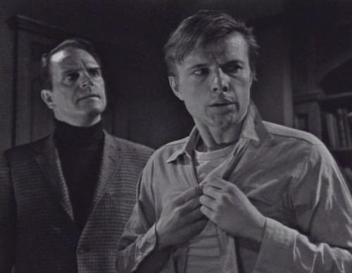 220 dark shadows fishy jason willie