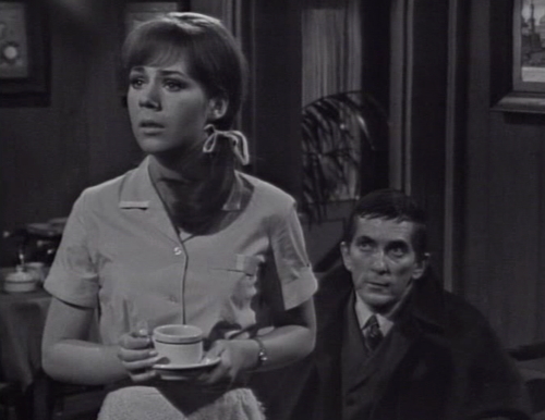 221 dark shadows dognoise maggie barnabas