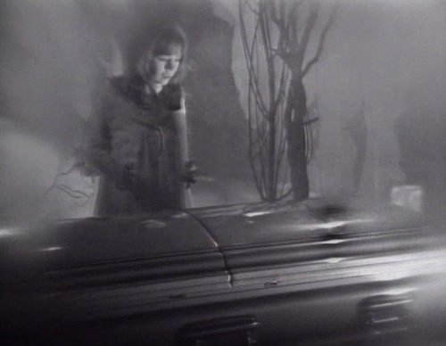 224 dark shadows maggie finds a coffin