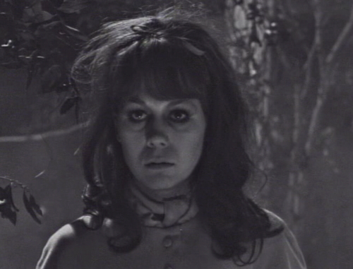 230 dark shadows maggie graveyard