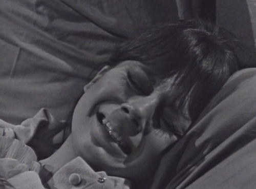 231 dark shadows don't take his blood maggie