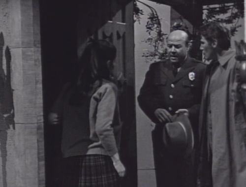 237 dark shadows patterson burke