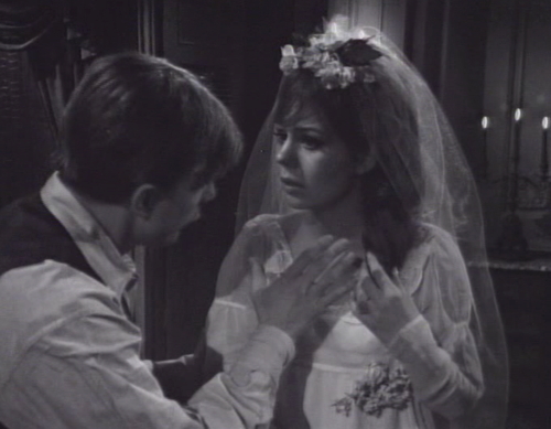 239 dark shadows shush maggie