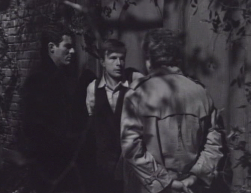 239 dark shadows visitors