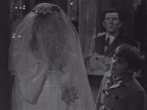 241 dark shadows maggie david