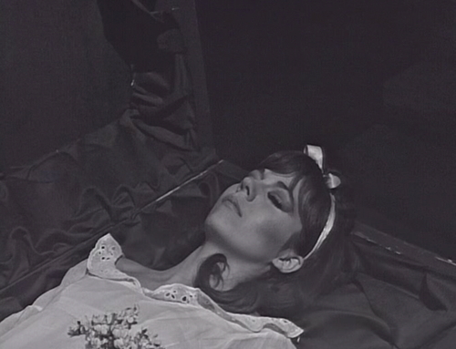 248 dark shadows maggie coffin