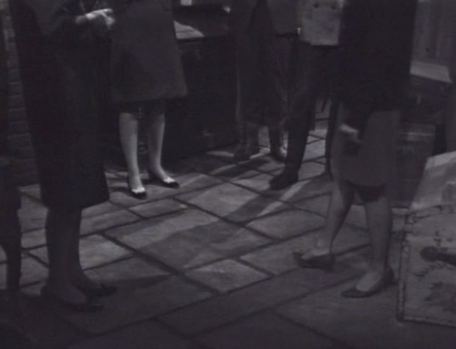 249 dark shadows floor basement