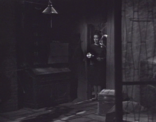 249 dark shadows liz basement