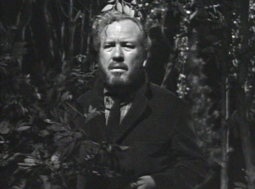 261 dark shadows sam looking