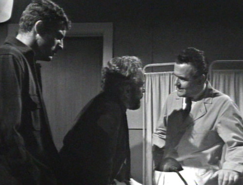 261 dark shadows woodards dumb idea