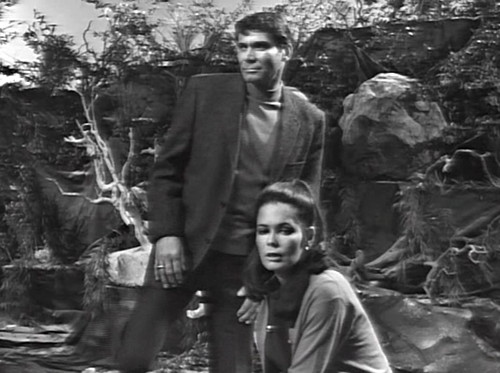 262 dark shadows new burke