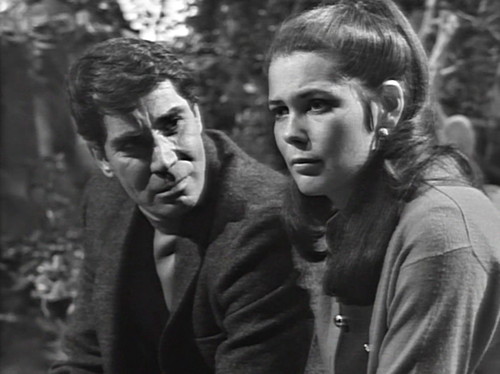 262 dark shadows vicki beach