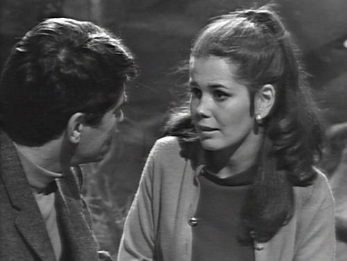 262 dark shadows vicki conversation