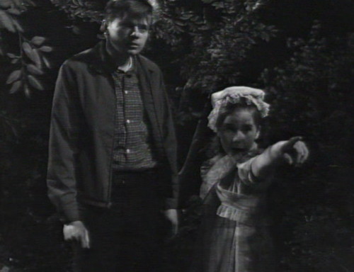 264 dark shadows i live over there