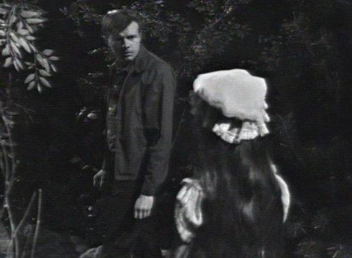 264 dark shadows willie sarah