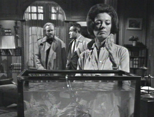 265 dark shadows julia more fish