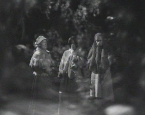 266 dark shadows widows