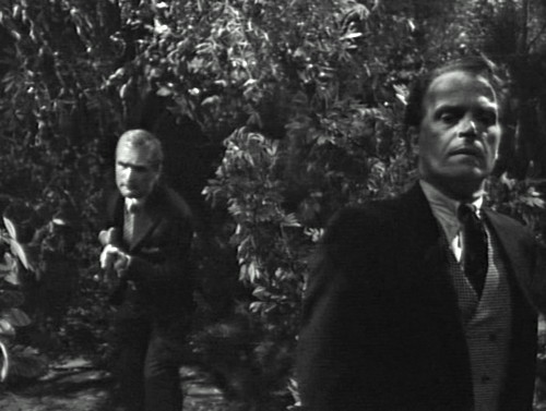 272 dark shadows roger jason