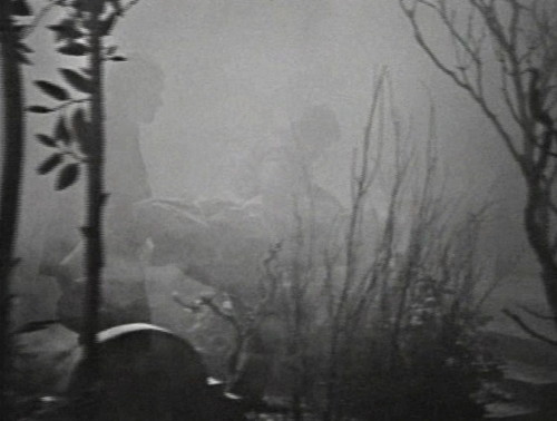 276 dark shadows grim