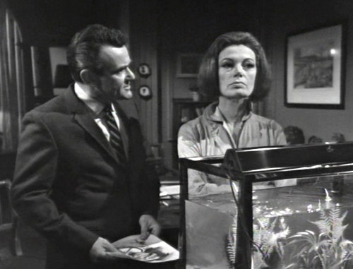 276 dark shadows julia fishacting