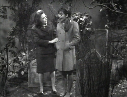 283 dark shadows field trip