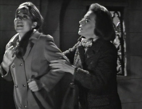 283 dark shadows maggie risk