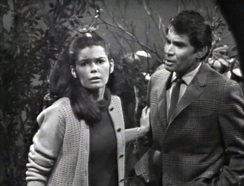 283 dark shadows vicki sees maggie