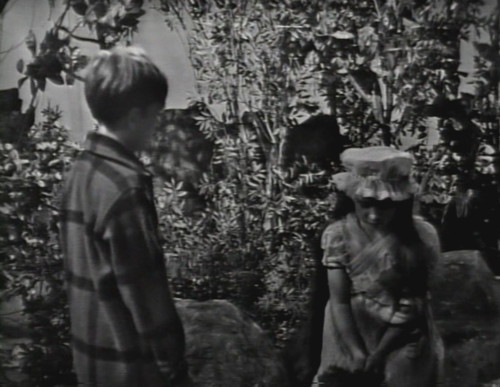 292 dark shadows sarah crying