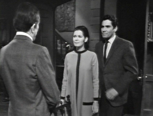 293 dark shadows vicki wait