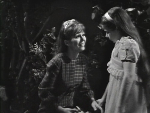 294 dark shadows maggie woods