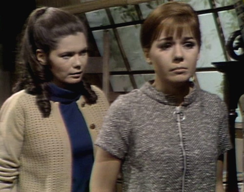 298 dark shadows vicki maggie