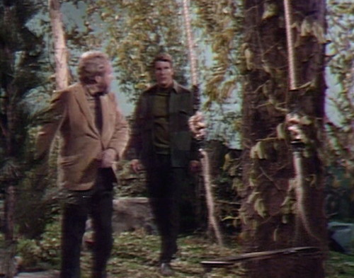 307 dark shadows sam joe swing