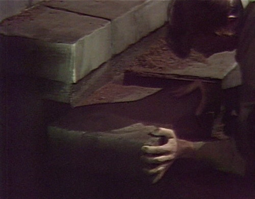 311 dark shadows willie opens