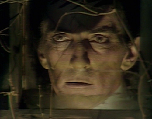 321 dark shadows barnabas window