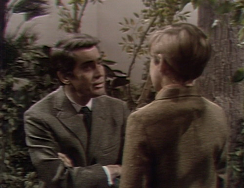 327 dark shadows burke david goldfish