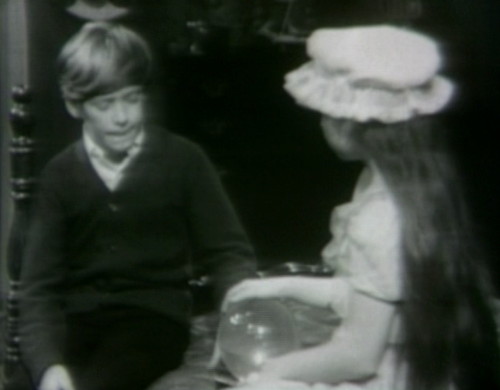 335 dark shadows david sarah bed