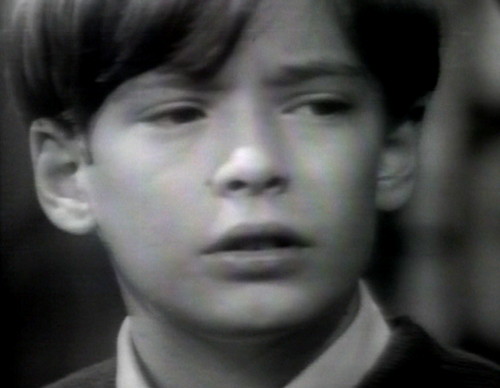 344 dark shadows david amazing