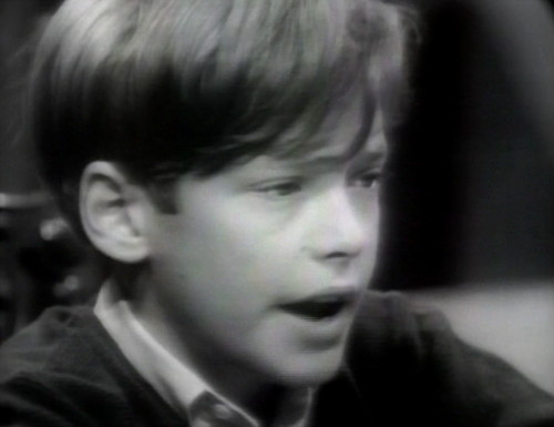 344 dark shadows david i don't care