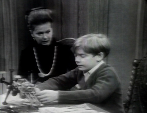 344 dark shadows david model