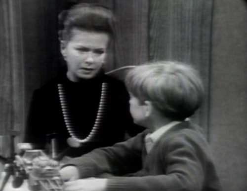 344 dark shadows liz david funeral