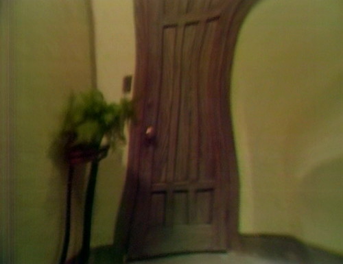 361 dark shadows door trippy