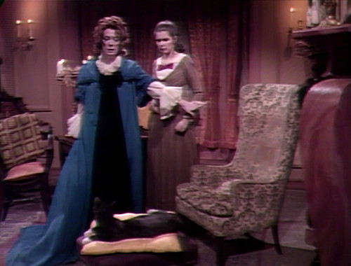 379 dark shadows natalie vicki cat