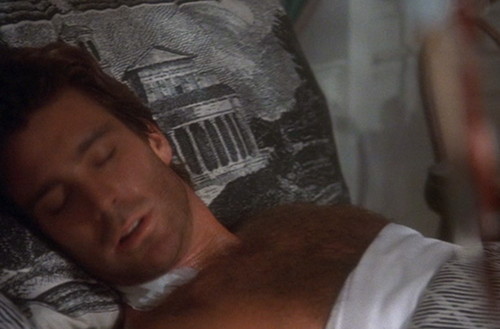 1991 dark shadows buffet joe