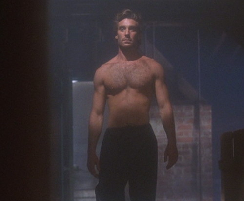 1991 dark shadows chest joe