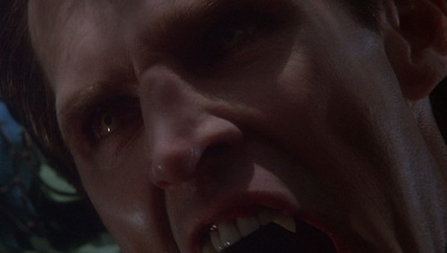 1991 dark shadows hiss barnabas