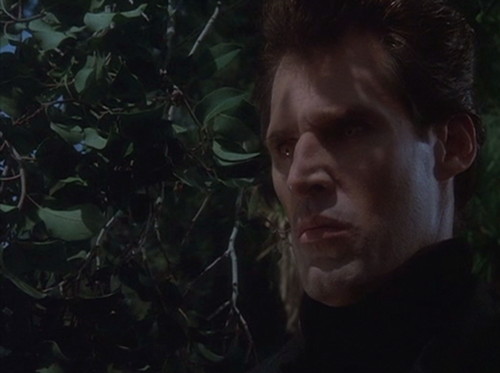 1991 dark shadows sunny barnabas