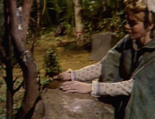 386 dark shadows angelique bonsaid