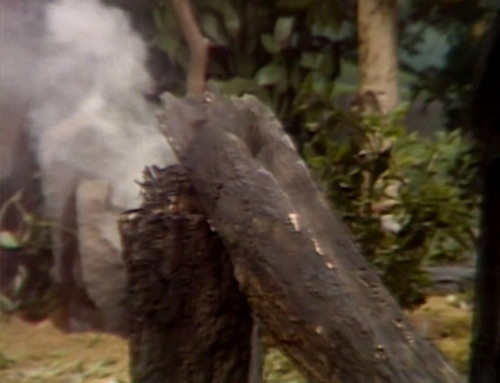 386 dark shadows tree