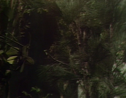 413 dark shadows avant-garde sarah 3