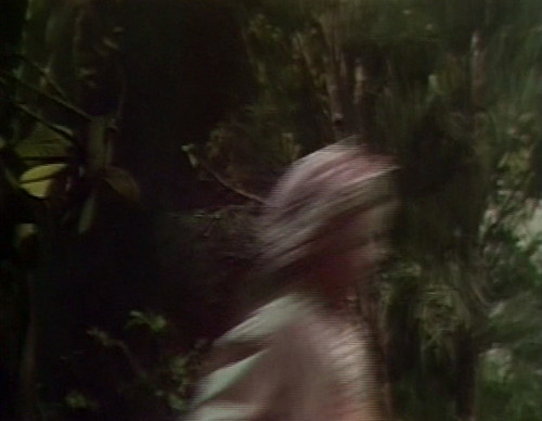 413 dark shadows avant-garde sarah 4